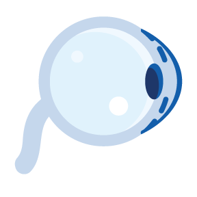 SSC-CNJ Glaucoma Surgery Icon